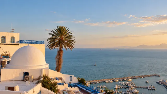 Café des Délices in Sidi Bou Said overlooking the marina and Gulf of Tunis in warm afternoon light
